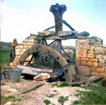 Foto 552 x 476 pixels, 37,5 K