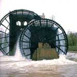 Foto 552 x 476 pixels, 37,5 K