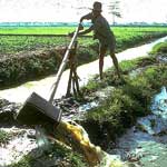 Foto 552 x 476 pixels, 37,5 K