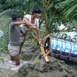 Foto 552 x 476 pixels, 37,5 K